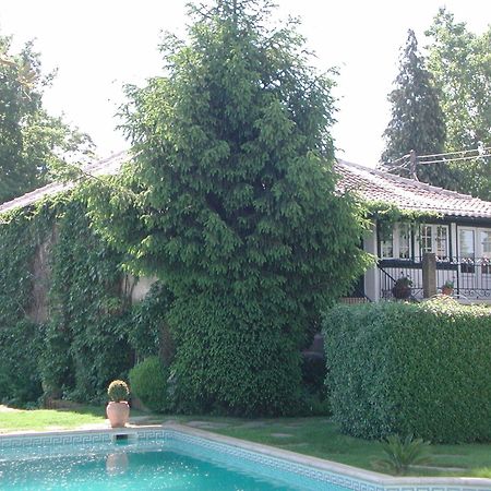 ホテル Casa Da Quinta De S. Martinho ヴィラ・レアル エクステリア 写真